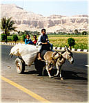 Bauernfamilie auf dem Westufer unterwegs zum Nil