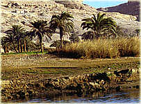 Noch ein Stück den Nil entlang, bis es durch die Wüste weitergeht