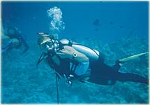 Bei einem der Tauchg&auml;nge im Roten Meer